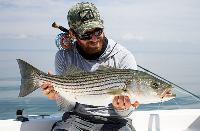 Spring site fishing for stripped bass